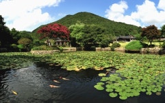 	붓끝으로 넘쳐 흐른 풍경, 운림산방,전라남도 진도군,탐사,여행기사,트래블아이 붓끝으로 넘쳐 흐른 풍경, 운림산방,전라남도 진도군,탐사... 