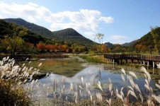 선(禪)을 만나러 가는 길, 선운산과 선운사,,체험,여행기사,트래블아이