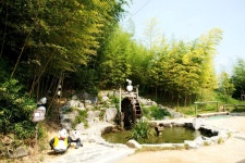 대숲 향기 따라 떠나는 죽녹원 여행,전라남도 담양군,탐사,여행기사,트래블아이