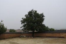 	퇴계(退溪)로부터 이어온 가품(家品), 학봉종택(鶴峰宗宅),경북 안동시,체험,여행기사,트래블아이 퇴계(退溪)로부터 이어온 가품(家品), 학봉종택... 