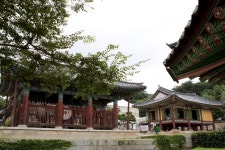 남한강변의 아름다운 천 년 고찰, 신륵사,경기도 여주시,명물,여행기사,트래블아이