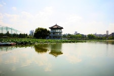 호수 위를 가로지르는 낭만을 선사하다, 덕진공원,전라북도 전주시,문화,여행기사,트래블아이