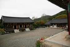 화려함과 차분함, 용천사와 꽃무릇 공원,전라남도 함평군,명물,여행기사,트래블아이