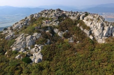 금빛물고기가 사는 곳, 부산 금정산과 범어사,부산광역시 금정구,명물,여행기사,트래블아이