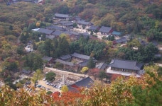 금빛물고기가 사는 곳, 부산 금정산과 범어사,부산광역시 금정구,명물,여행기사,트래블아이