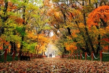 홍수의 피해에서 마을을 보호한 지혜 ‘함양 상림’,경상남도 함양군,명물,여행기사,트래블아이