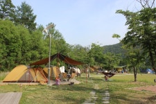 푸른 소나무와 신비로운 물안개, 청송부남오토캠핑장,경상북도 청송군,체험,여행기사,트래블아이