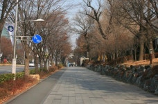 걷고 싶은 거리, 능동로 디자인 서울거리,,문화,여행기사,트래블아이