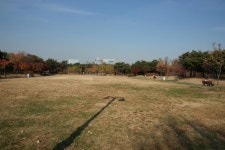 	토끼와 누에가 있는 특별한 공원, 몽마르뜨공원,서울 서초구,명물,여행기사,트래블아이 토끼와 누에가 있는 특별한 공원, 몽마르뜨공원,서울... 