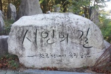 솔숲과 돌과 시가 있는 ‘시인의길’,대구광역시 동구,문화,여행기사,트래블아이