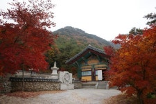 신라불교의 태동지 도리사를 찾다,,문화,여행기사,트래블아이