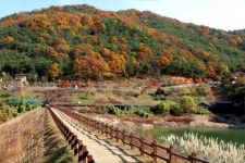 산업단지 구미에도 자연이 있다?! 옥성자연휴양림 ,경상북도 구미시,체험,여행기사,트래블아이