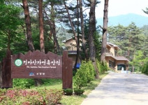 TV와 스마트폰을 피하라! 검마산 자연휴양림,경상북도 영양군,체험,여행기사,트래블아이