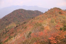 태백산맥의 중심, 볼거리 가득한 오대산 ,강원도 평창군,탐사,여행기사,트래블아이
