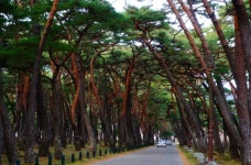 겨울 산사 기행, 경북 청도군 운문사 ,경상북도 청도군,명물,여행기사,트래블아이