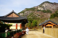 겨울 산사 기행, 경북 청도군 운문사 ,경상북도 청도군,명물,여행기사,트래블아이