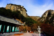 겨울 산사 기행, 경북 청도군 운문사 ,경상북도 청도군,명물,여행기사,트래블아이
