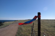 제주도 오렌지 빛 물든 제주 신천목장,제주특별자치도 서귀포시,명물,여행기사,트래블아이