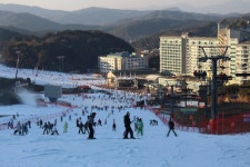 신나게, 즐겁게 웰리힐리파크에서 겨울을 즐겨요,강원도 횡성군,체험,여행기사,트래블아이