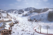 동화 속 나라에서 행복한 겨울나기, 한솔오크밸리,강원도 원주시,체험,여행기사,트래블아이