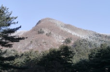 	서울 근교에서 찾는 쉼, 축령산자연휴양림 , ,명물,여행기사,트래블아이 서울 근교에서 찾는 쉼, 축령산자연휴양림 , ,명물,여행기사,트래블아이