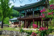 많은 유생들의 흔적이 남아있는 비안향교,경상북도 의성군,문화,여행기사,트래블아이