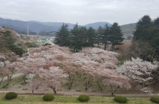 힐링이 필요할 때 떠나보세요! 법기수원지,경상남도 양산시,명물,여행기사,트래블아이