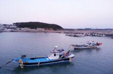 볼거리와 먹거리 그리고 문화와 예술의 축제가 풍성한 태안 몽산포 ,충청남도 태안군,명물,여행기사,트래블아이