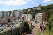 Foto aus Naver-Suchergebnissen 5