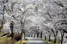 옛 담배공장에 피어난 문화의 꽃, 148아트스퀘어,경상북도 영주시,탐사,여행기사,트래블아이