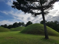 황금칼의 나라 다라국을 만나다, 합천박물관과 옥전고분군,,문화,여행기사,트래블아이