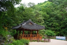 한여름날의 수(水)려한 휴식처. 경남 합천군 황계폭포,경상남도 합천군,명물,여행기사,트래블아이