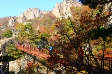 기암괴석 사이를 거닐다! 대둔산 금강구름다리,전라북도 완주군,명물,여행기사,트래블아이