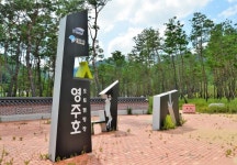36.5도 소백힐링 메카, 경북 영주시 영주호 오토캠핑장,,체험,여행기사,트래블아이