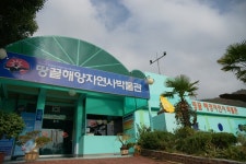 바닷속 생명과 만나다, 땅끝해양자연사박물관,전라남도 해남군,체험,여행기사,트래블아이