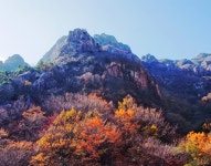 氣의고장 영암이 건네는 특별한 선물, 힐링충전！,,트래블투데이,여행기사,트래블아이