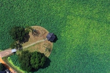 정읍시, 피향정 연꽃 만개“연꽃 향기에 취해 보세요!”,,트래블투데이,여행기사,트래블아이