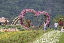 	사계절 각기 다른 매력, 자라섬 남도 꽃 정원 유료개방,,트래블투데이,여행기사,트래블아이 사계절 각기 다른 매력, 자라섬 남도 꽃 정원 유료개방... 