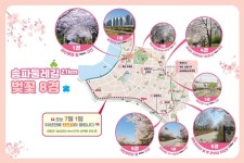 그대여~♪ 우리 같이 걸어요! “송파둘레길 벚꽃 8경”,,트래블투데이,여행기사,트래블아이