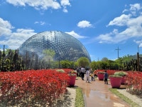 거제식물원! 아는 만큼 즐긴다. (세번째 이야기),,트래블투데이,여행기사,트래블아이