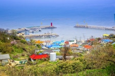 ‘정글의 법칙’이 반한 아름다운 생존지, 야생화 천국 안산 풍도,,트래블투데이,여행기사,트래블아이