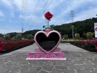 ‘러브스토리 인 울산’ 2022 울산대공원 장미축제, 3년 만에 부활,,트래블투데이,여행기사,트래블아이