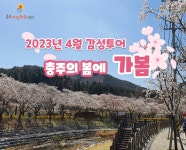 충주 감성투어 감성가득 4월 정기코스, “충주의 봄에 가봄”,,트래블투데이,여행기사,트래블아이