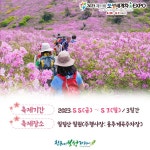 보성군, 제19회 일림산 철쭉 문화 행사 5월 5일부터 7일까지,,트래블투데이,여행기사,트래블아이