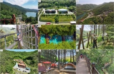 보성군, 제암산자연휴양림에서 즐기는 여름 휴가,,트래블투데이,여행기사,트래블아이