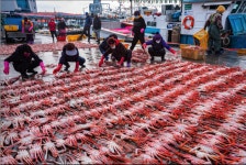 울진군, 죽변의 겨울, 이보다 더 좋을 순 없다! ,,트래블투데이,여행기사,트래블아이
