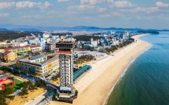 보령시, 2024년 여름 보령엔 무슨 일이! 1탄 대천해수욕장엔 특별함과 추억이 있다,,트래블투데이,여행기사,트래블아이 보령시, 2024년 여름... 