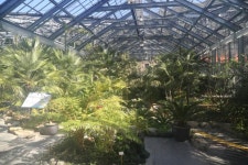 	따듯한 식물, 특별한 추억, 완도수목원,전라남도 완도군,체험,여행기사,트래블아이 따듯한 식물, 특별한 추억, 완도수목원,전라남도 완도군,체험... 