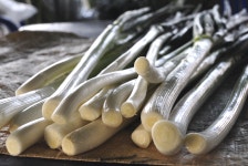 명지 대파,부산광역시 강서구,가을(9월~11월),지역특산물,트래블아이 	명지 대파,부산광역시 강서구,가을(9월~11월),지역특산물,트래블아이