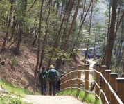 초록 품은 담양 - 트래비 매거진 초록 품은 담양